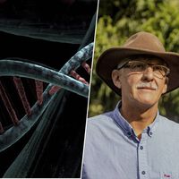 Durante años culpamos a la testosterona de que los hombres vivieran menos. Ahora sabemos que el culpable es un cromosoma