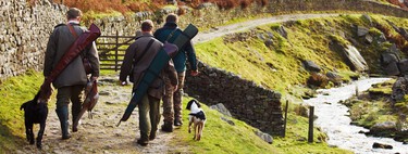 Belarra propone llegar a un término medio con los perros de caza para sacar adelante la Ley de Protección Animal 