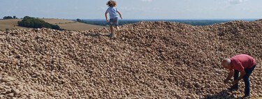 Un agricultor regala 500 toneladas de patatas para que no  se pudran y convierte su campo en un peregrinaje de necesitados y oportunistas 