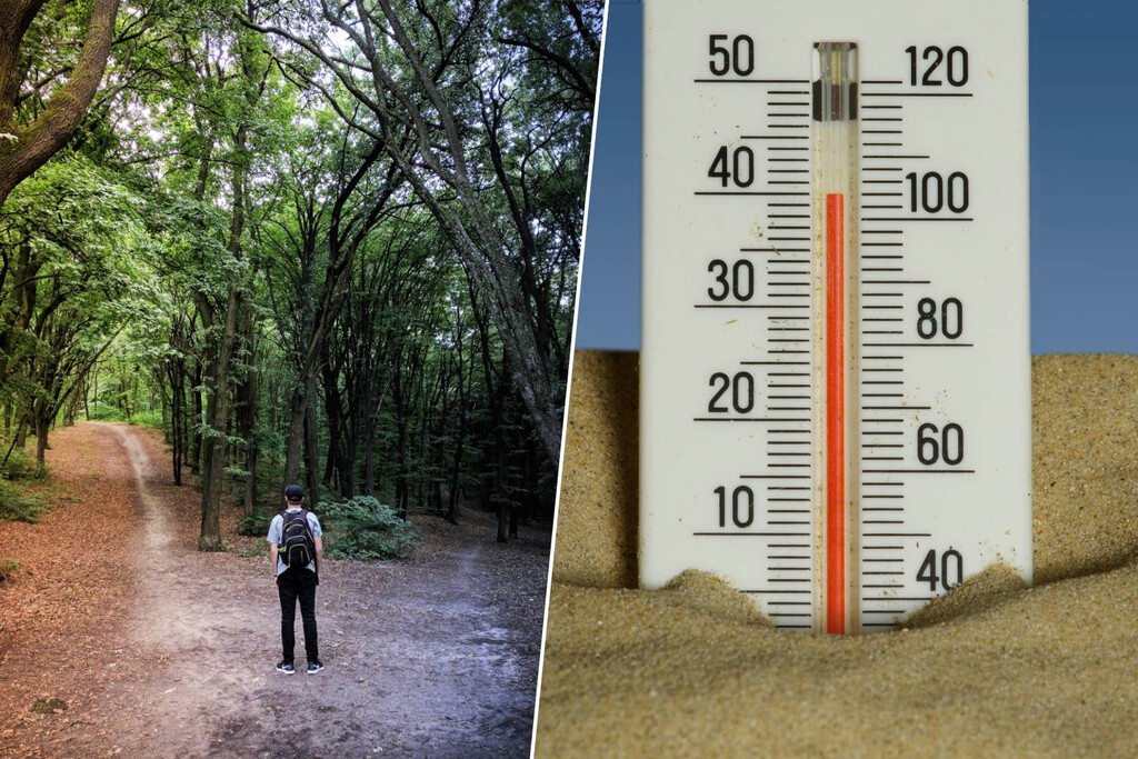 No eres tú, es el termómetro: no tomes decisiones importantes en ola de calor 