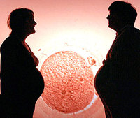 Diferencias en la disposición a donar óvulos o esperma