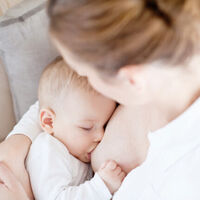 La leche materna de mujeres vacunadas con Astrazeneca, Pfizer y Moderna contiene anticuerpos frente a la Covid-19 