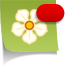 Ma.gnolia root, lo que piensan los usuarios de ma.gnolia sobre la web que estás viendo