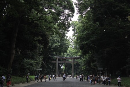 Yoyogi Park 3403524 1920
