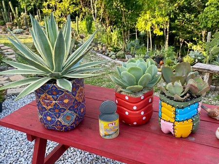 Si tienes garrafas de agua vacías, conviértelas en hermosos maceteros caseros para decorar tu hogar