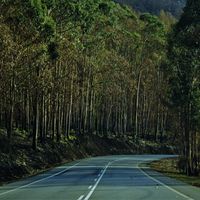 La nueva campaña de la DGT: regalar chalecos reflectantes para evitar atropellos en Galicia