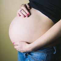 Marisco en el embarazo: qué riesgos tiene su consumo y qué precauciones tomar 