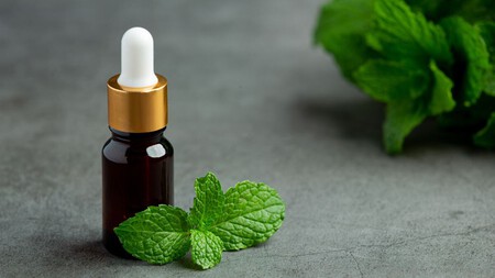 Menta