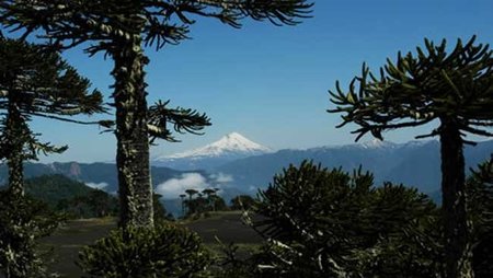 Chile: los géiseres de Sollipulli