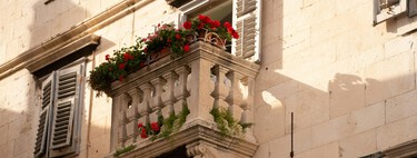Estas son las cinco plantas que deberías plantar en tu terraza o balcón en el mes de enero para tener flores todo el año