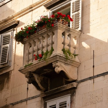 Estas son las cinco plantas que deberías plantar en tu terraza o balcón en el mes de enero para tener flores todo el año
