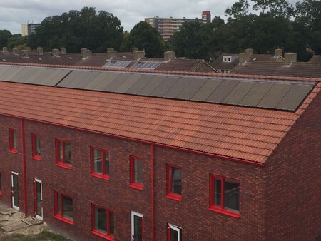 Paneles De Colores Verdes