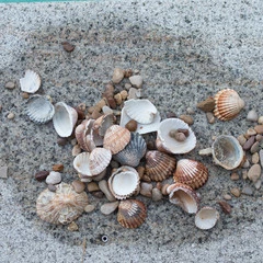 Foto 15 de 37 de la galería canon-eos-m6 en Xataka Foto