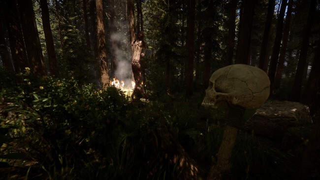 Imagen De Sons Of The Forest
