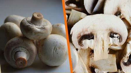Si cocinaste con champiñones y te sobraron los tallos, no los tires, tienes un tesoro: 5 formas de reutilizarlos