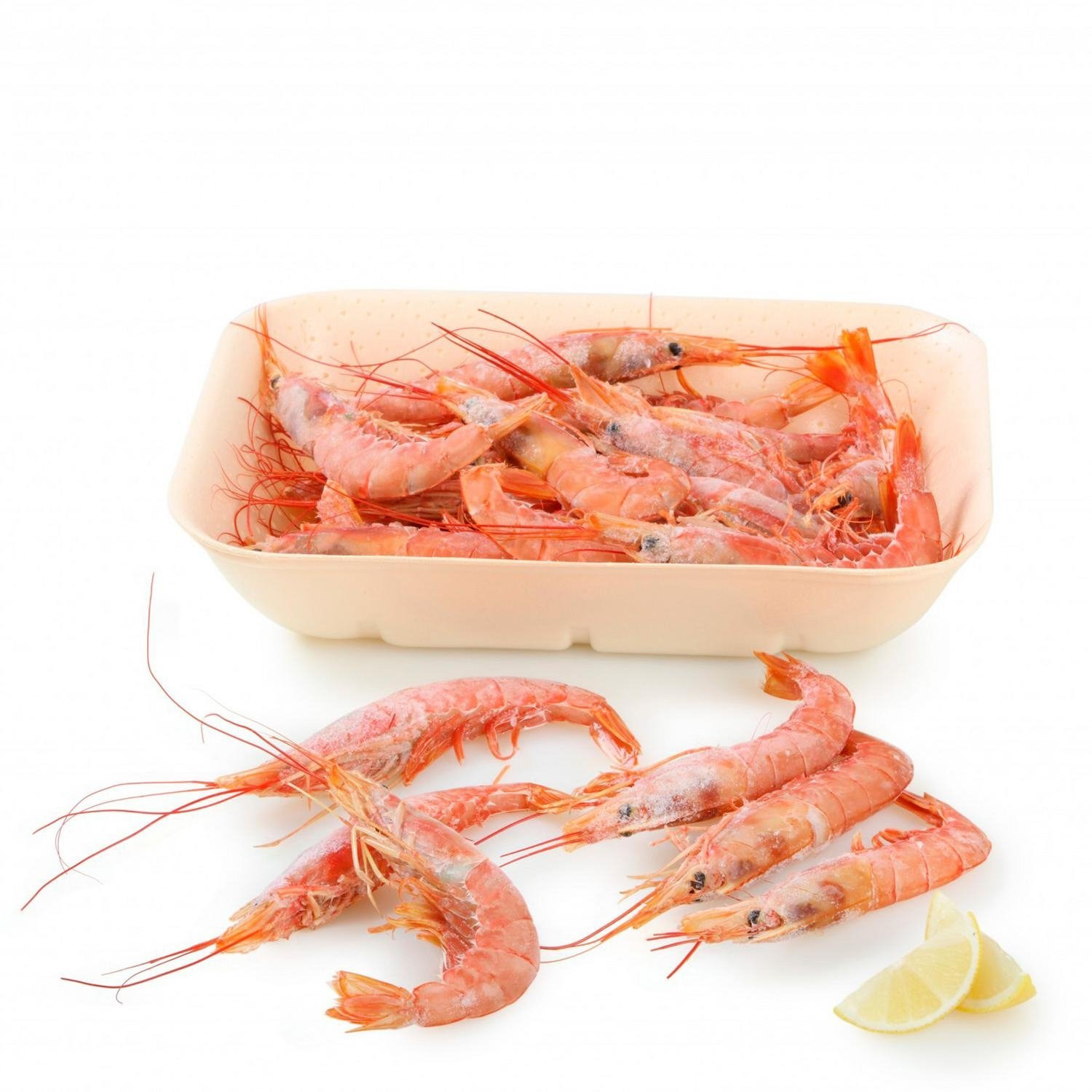 Gambón salvaje 2 kg