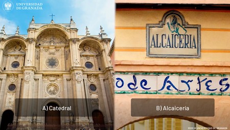 Visita Granada