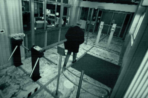 Creían haber planeado el robo perfecto, hasta que apareció una comadreja y un sándwich de salami