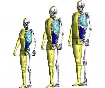 Cuatro nuevos proyectos de investigación para el Centro de Investigación conjunta de Seguridad de Toyota