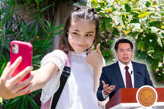 Sep Consultara Maestros Ceulares Escuelas Xataka Mexico 1