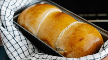 Hongos Pan