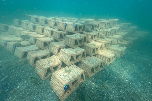 Mar Menor / Imagem: IEO