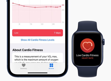 Una oferta de trabajo delata que Apple quiere hacer más accesorios enfocados a la salud