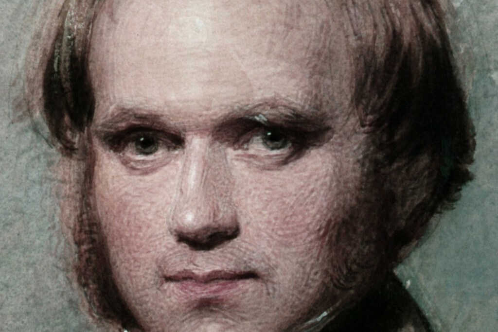 El 1 de agosto de 1828 un capitán inglés se pegó un tiro en Chile. Y gracias a eso Darwin ideó la teoría de la evolución