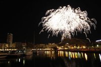 La gran palmera de Alicante