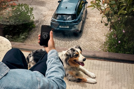 Peugeot E308sw 2508gg 528 Fr