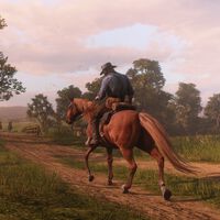 "No puedo ser el único que se ha dado cuenta". Un fan de Red Dead Redemption 2 ha dado con un detalle que habla mejor aún del mimo de Rockstar