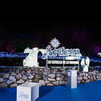 El caos en Articus, Navidades Mágicas y otros espectáculos en Madrid: cómo evitar que el plan navideño acabe en pesadilla