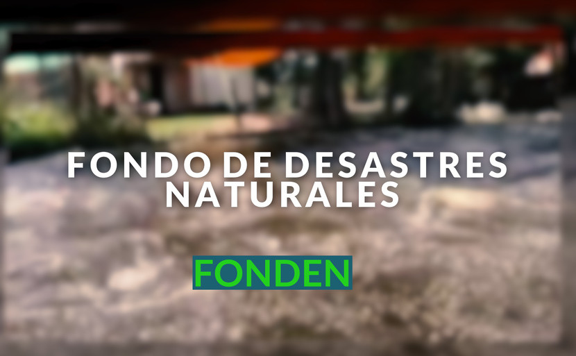 ¿Qué es el Fondo de Desastres Naturales FONDEN y por qué todos debemos saber sobre él? Te lo contamos en video