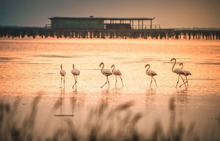 Pat Mun Turisme Lampolla Badia Fangar Autor Albert Iniesta Copia 1030x659