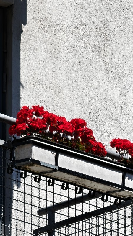 Oppo Find X8 Ultra Analisis Prueba Camara Telefoto Zoom Digital