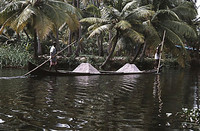 Los Backwaters de Kerala, India