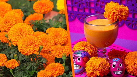 Sí, el cempasúchil también se come: descubre los lugares en CDMX donde puedes probar delicias con esta flor