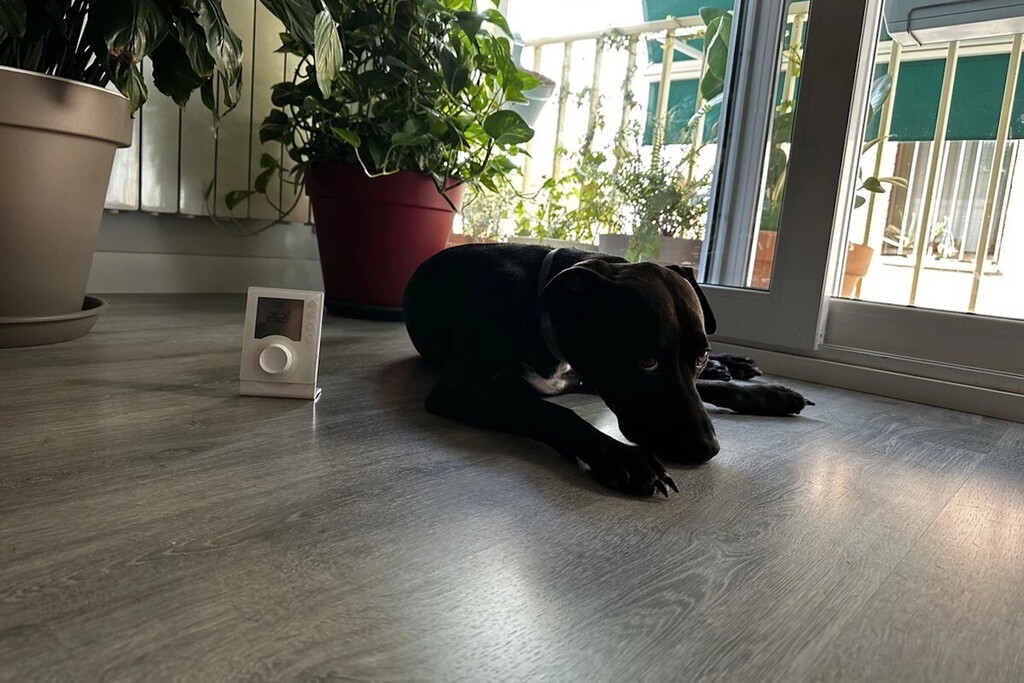 Dime dónde vives y como es tu casa y te digo qué tipo de calefacción funciona mejor y te sale más barata