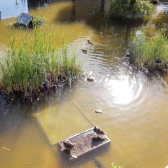 Foto 4 de 10 de la galería fotografias-tomadas-con-huawei-ascend-p7 en Xataka