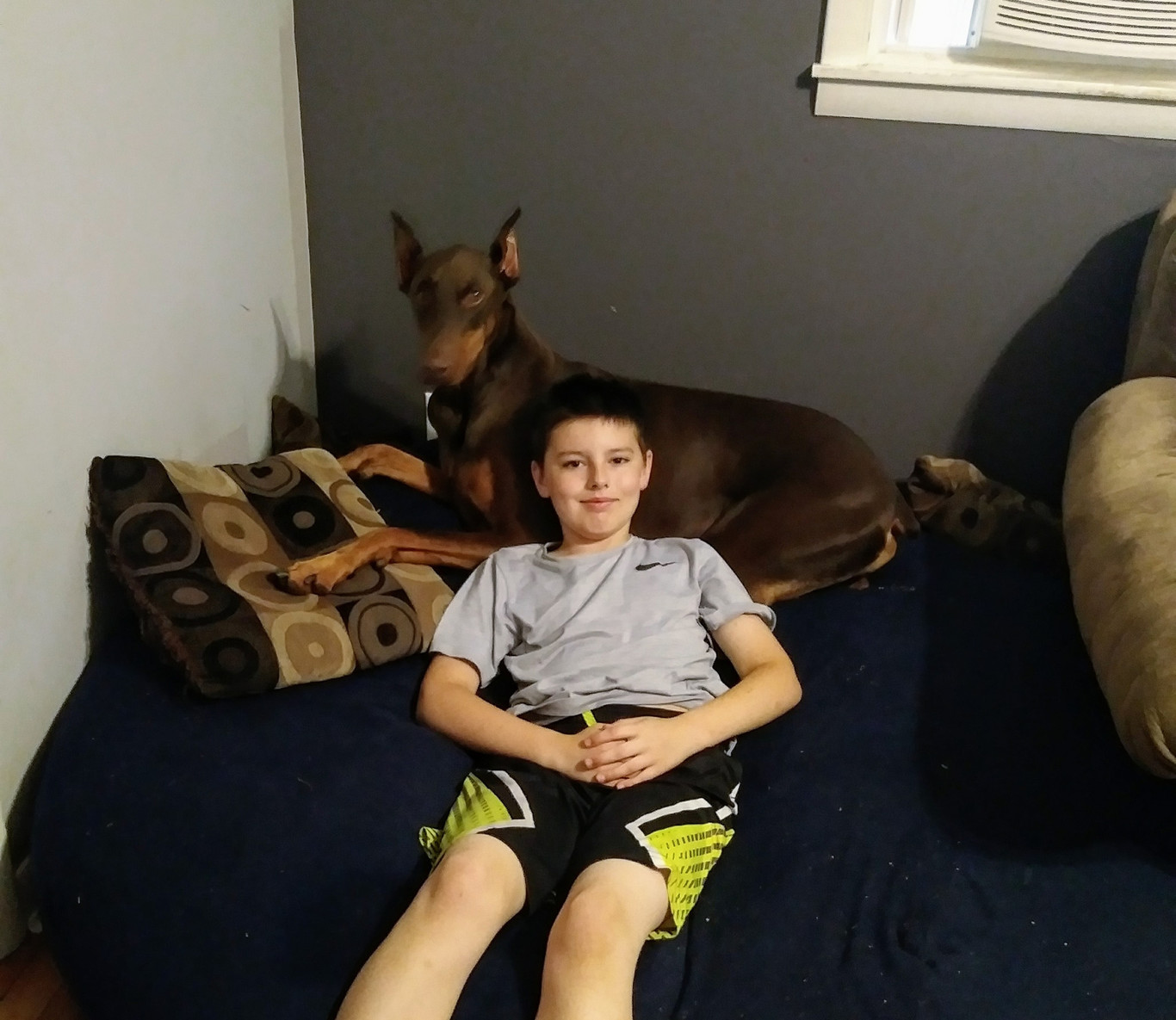 juguetes para doberman