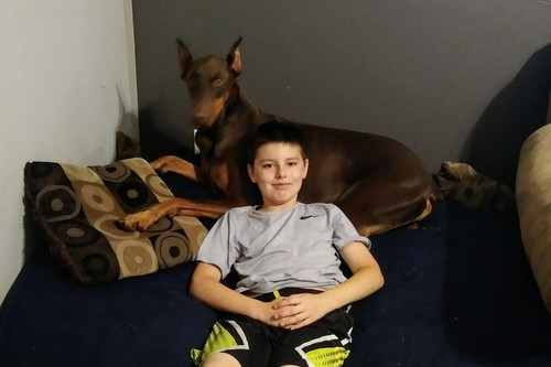 Su perro lo rescató y ahora él ha vendido sus juguetes para ayudarlo: la bonita historia de Connor y Copper