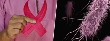 Llevamos 150 años creyendo que las bacterias son un arma contra los tumores. Y al fin hemos descubierto cómo