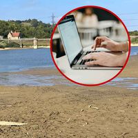 "Borren sus correos antiguos y sus fotos de la nube": la llamativa solución de Reino Unido para ahorrar agua en una de sus peores sequías