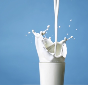 El mito de que la leche es mala para la salud (y II)