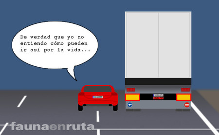 fauna en ruta: trailer