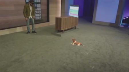 Microsoft tiene pendiente a revisión la marca "Holopet"