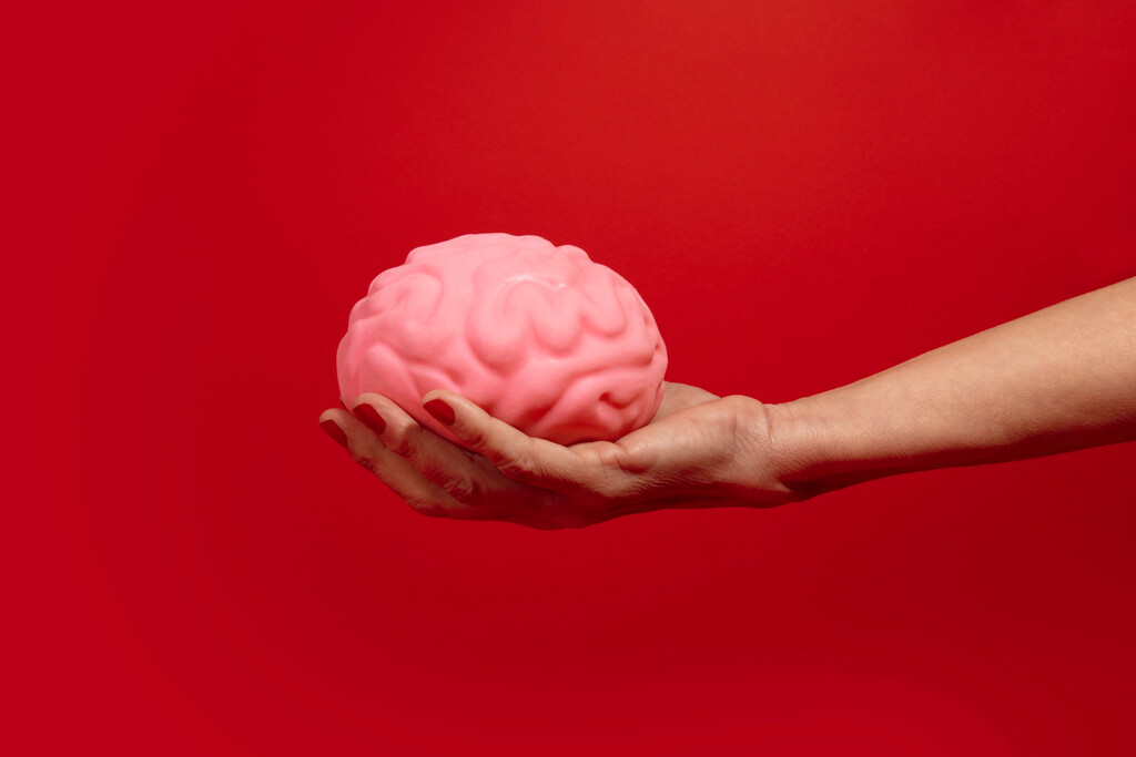 Nuestro cerebro lleva milenios encogiendo: la ciencia tiene muy claro por qué (y no, no significa que seamos más tontos)