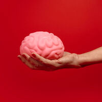 Nuestro cerebro lleva milenios encogiendo: la ciencia tiene muy claro por qué (y no, no significa que seamos más tontos) 