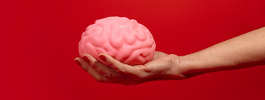Nuestro cerebro lleva milenios encogiendo: la ciencia tiene muy claro por qué (y no, no significa que seamos más tontos)
