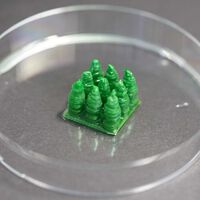 Suiza cree haber encontrado un sustituto al hormigón en las cianobacterias: un material vivo que crece y se "cura" solo